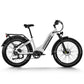 Himiway D5 (Zebra) Electric Bike