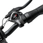 ENGWE EP-2 Pro Electric Bike