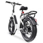 Hidoes BF1 Electric Bike