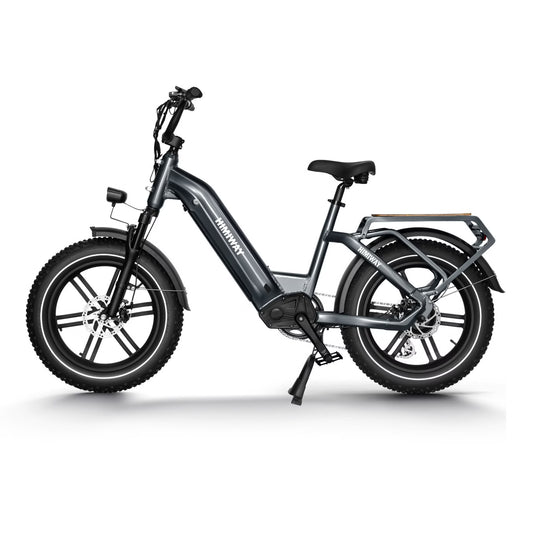 Himiway Big Dog Electric Bike