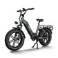 Himiway Big Dog Electric Bike