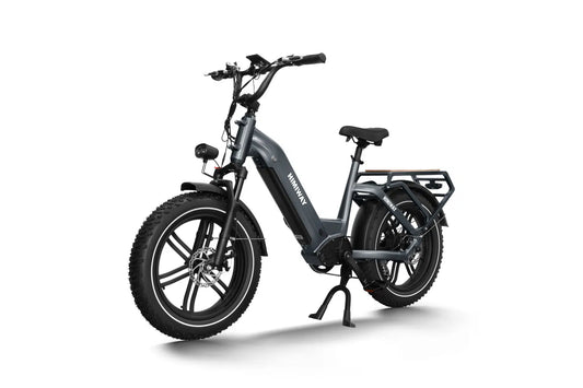 Himiway Big Dog Electric Bike
