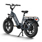 Himiway Big Dog Electric Bike