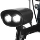 Himiway Big Dog Electric Bike