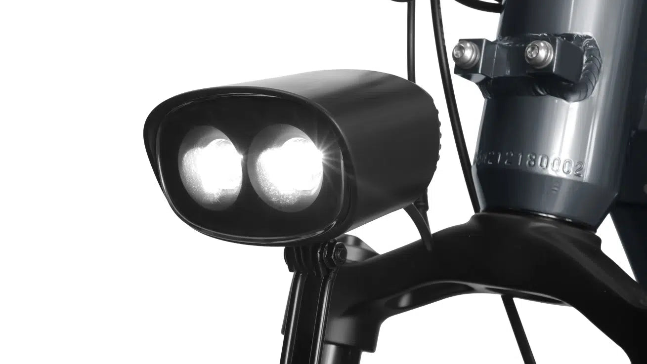 Himiway Big Dog Electric Bike