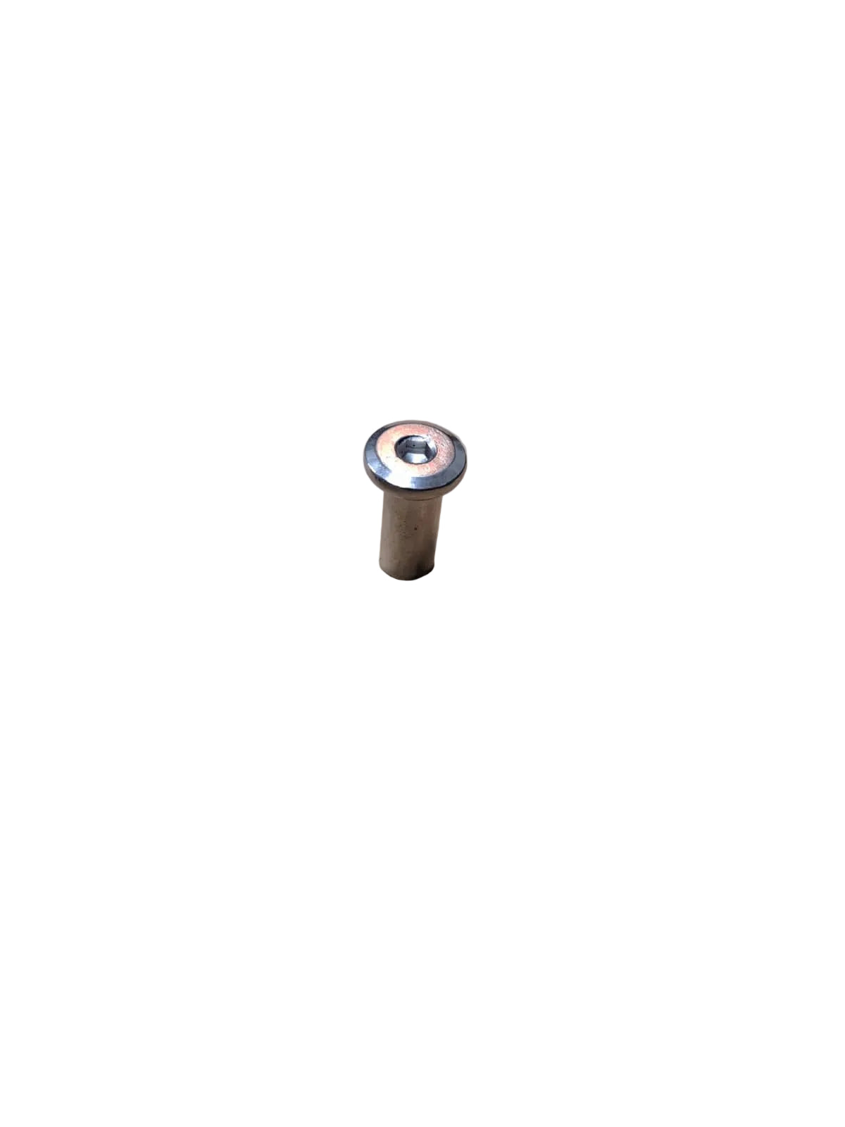 Seat Stay Screw