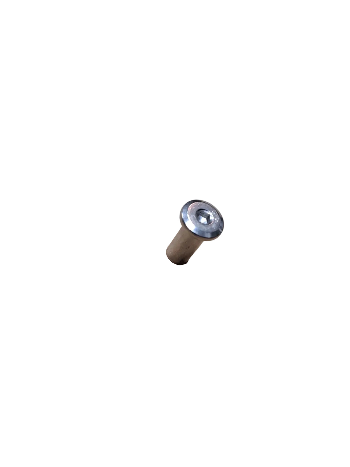 Seat Stay Screw