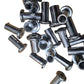 Seat Stay Screw