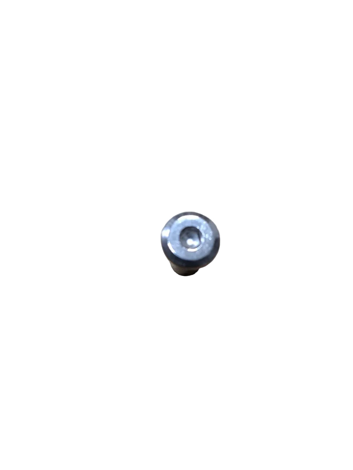 Seat Stay Screw