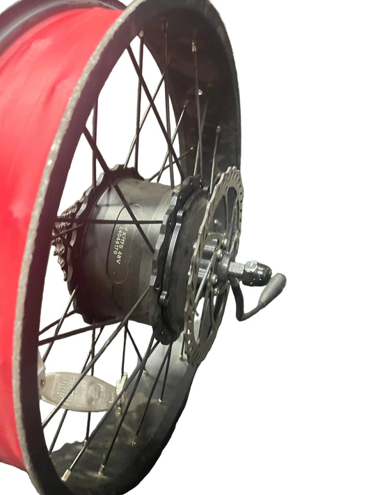 Brushless 750W Motor (with wheel)-6125