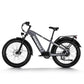 Himiway D5 (Zebra) Electric Bike