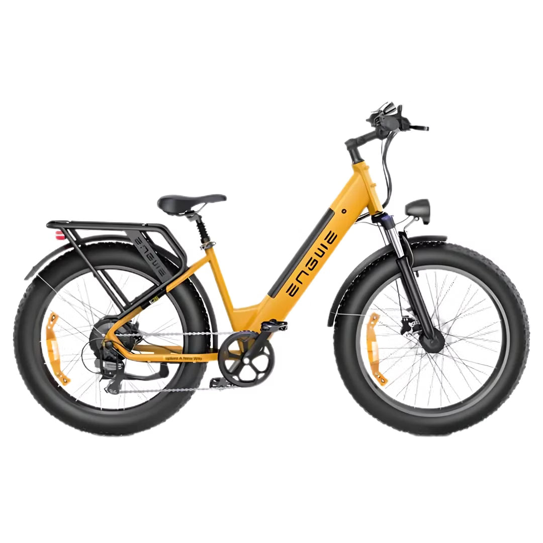 ENGWE E26 Electric Bike